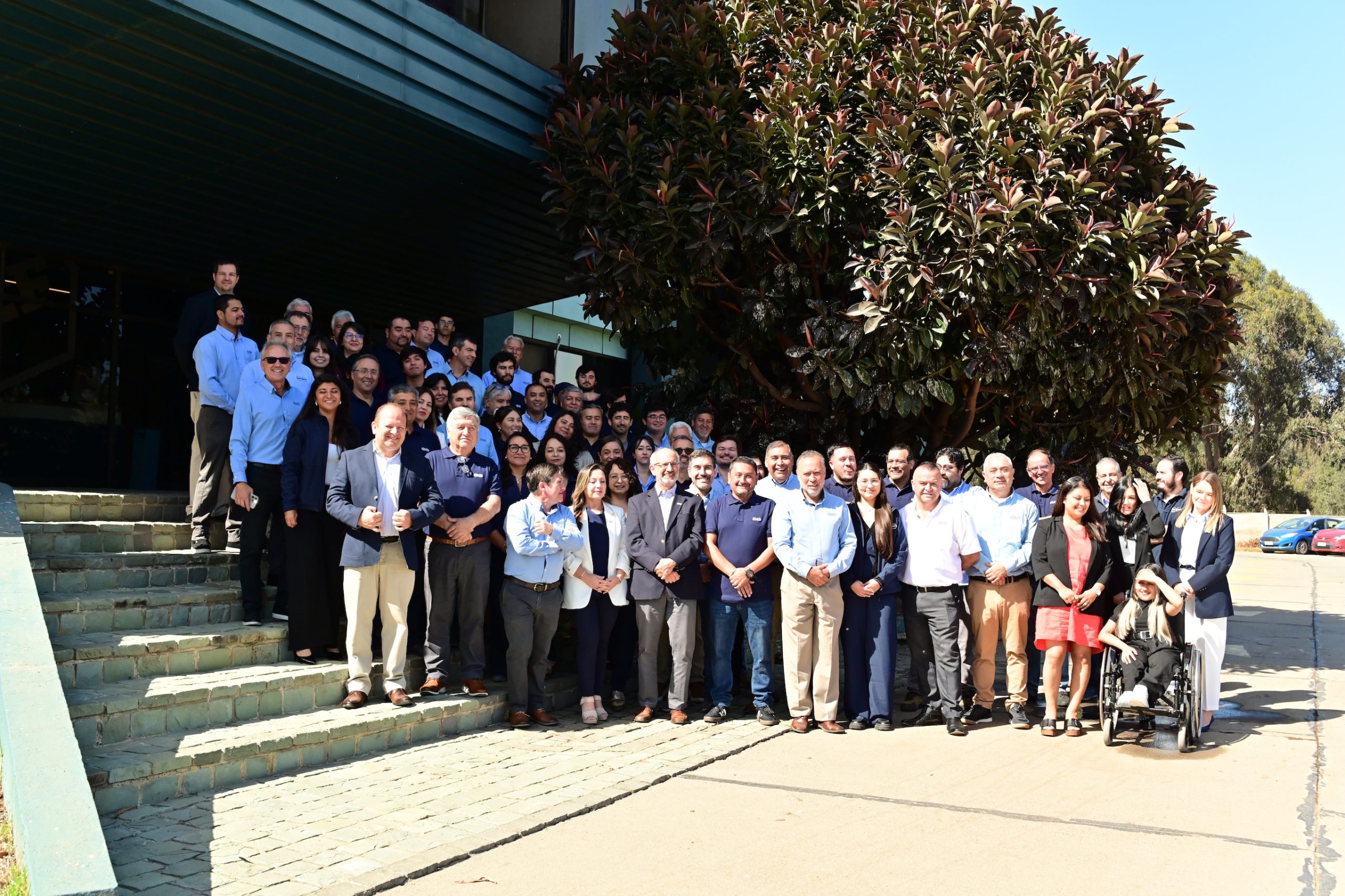 Head Office Team – Quintero