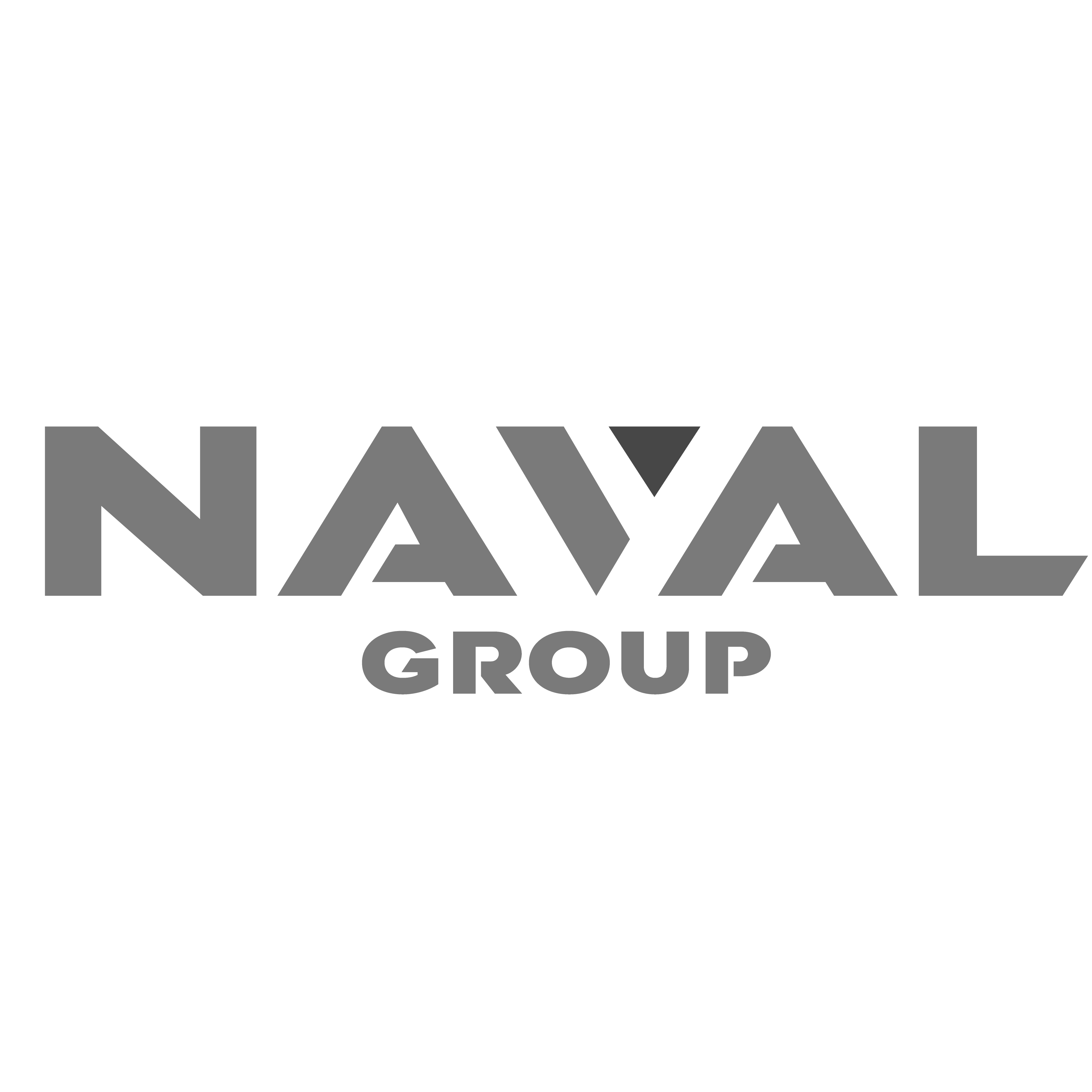 Naval_Group_logo-gris.png